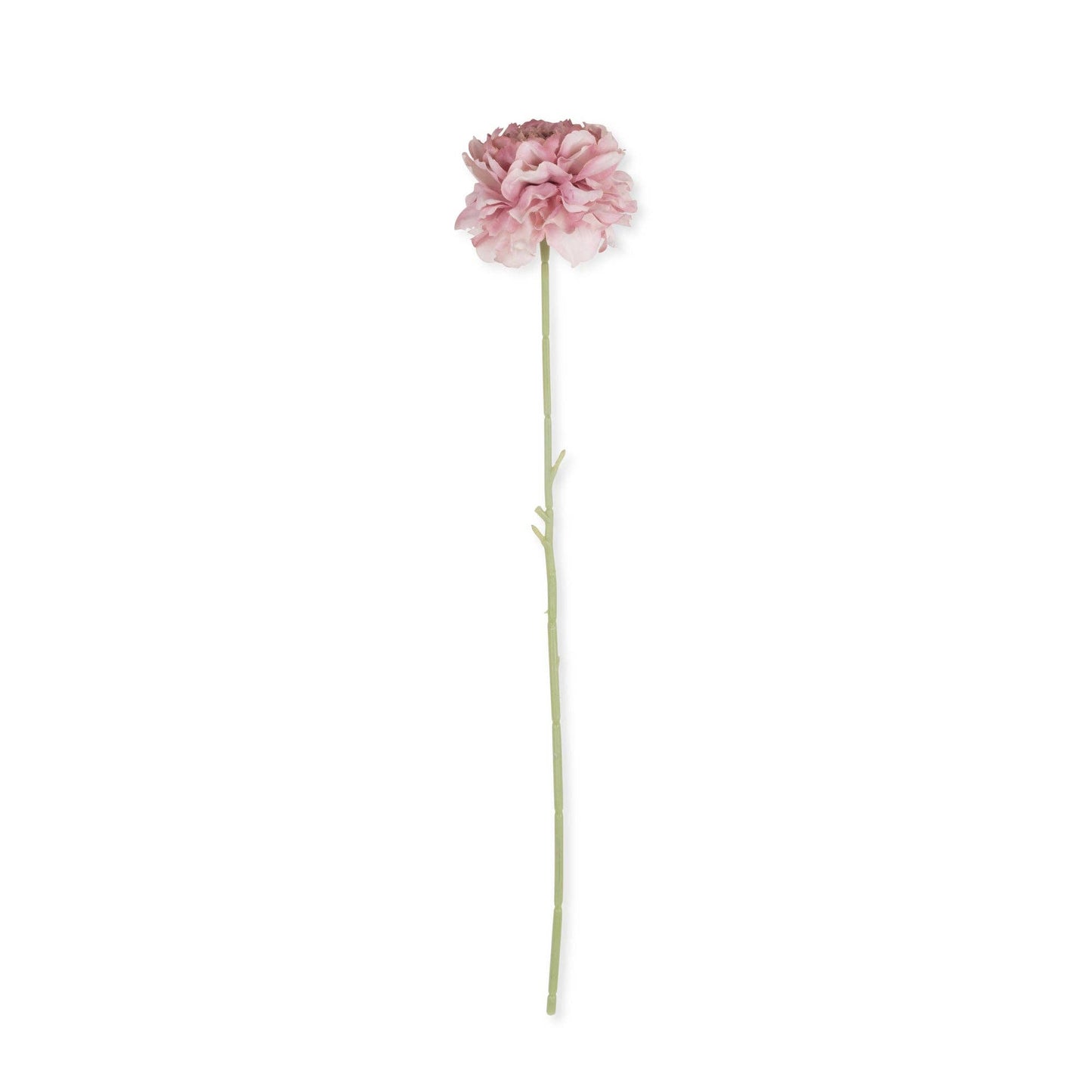 ARTIFICIAL CARNATION BLUSH