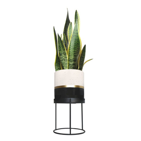 Ceramic Plant Pot with Stand