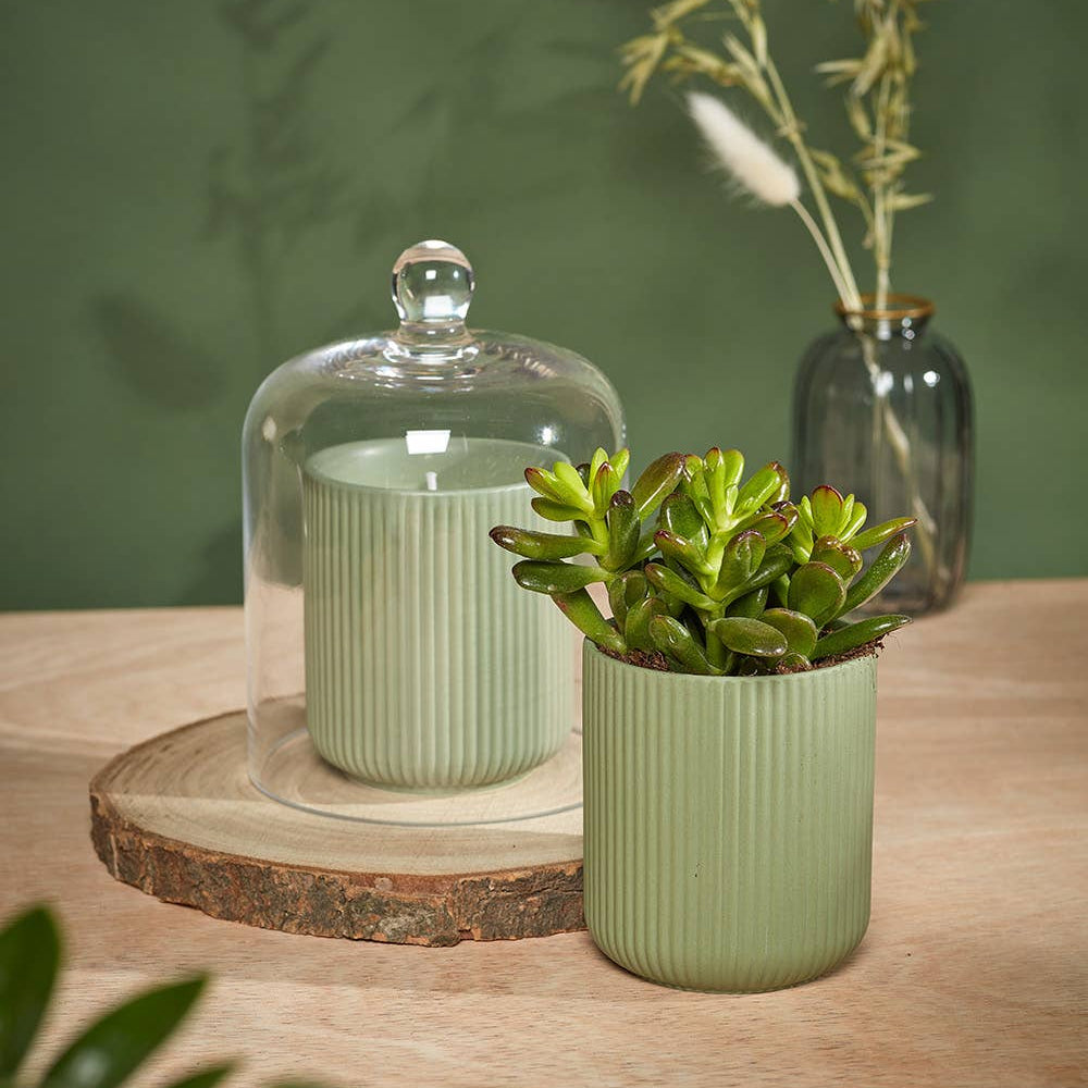 Urban Gardener Candle